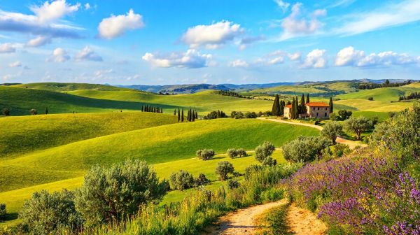 Toscane : top 10 activités essentielles à ne pas manquer